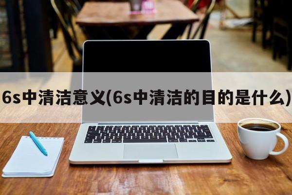 6s中清洁意义(6s中清洁的目的是什么)